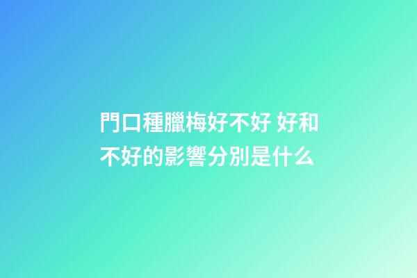 門口種臘梅好不好 好和不好的影響分別是什么